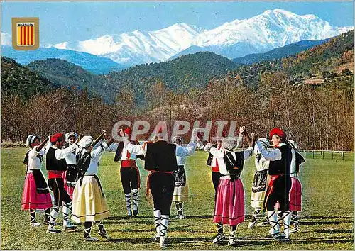 Cartes postales moderne Lumiere et Couleurs de Roussillon La Sardane dense populaire Catalane dansee