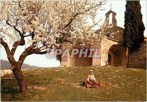 Cartes postales moderne Belles Images de Provence Amandier au Pintemps Jeune Provencale Vieille chapelle Romane