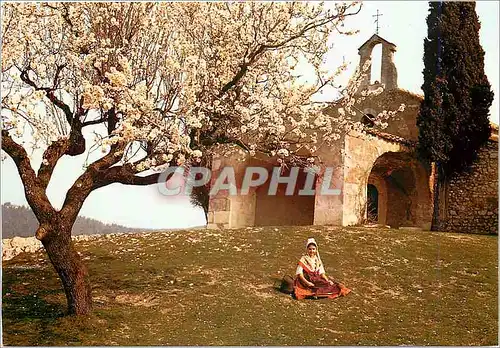 Moderne Karte Belles Images de Provence Amandier au Pintemps Jeune Provencale Vieille chapelle Romane