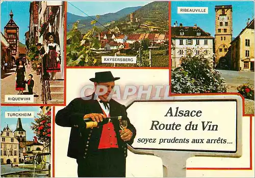 Cartes postales moderne Alsace Route du Vin Soyez prudents aux arrets