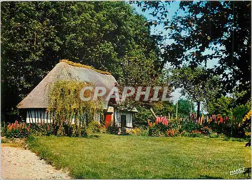 Cartes postales moderne Chaumiere Normande