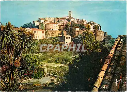 Cartes postales moderne Couleurs et Lumiere de France La Cote d'Azur Mracle de la nature Saint Paul de Vence (A M) Vue g