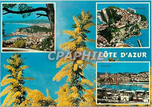 Cartes postales moderne Souvenir de la Cote d'Azu Nice Monaco Menton
