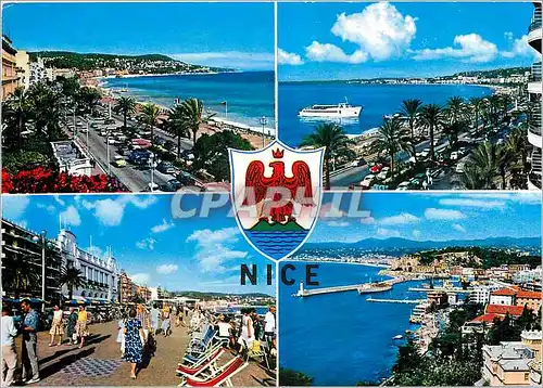 Cartes postales moderne Nice La Cote d'Azur