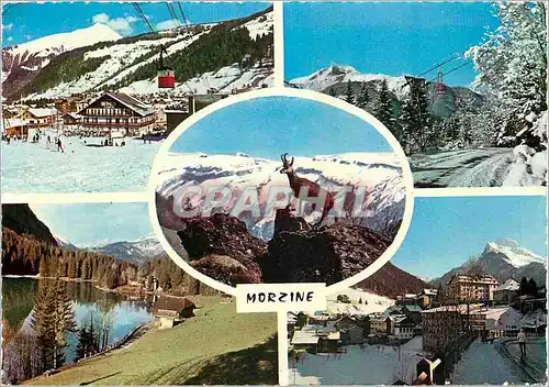 Cartes postales moderne Souvenir de Morzine (Haute Savoie) Telepherique du Plenay Telebenne de SSuper Morzine Un Chamois