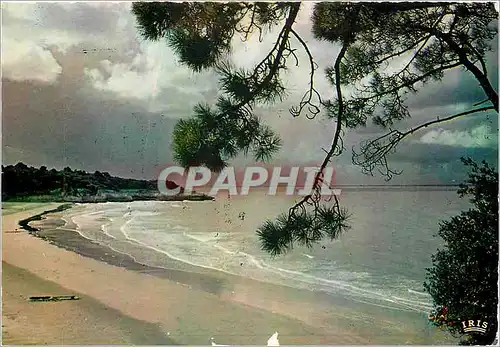 Cartes postales moderne Cote de Beaute de Meschers a Royan Gores sde Didogne