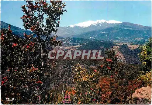 Moderne Karte Le Vallespir en Roussillon le Conigou au printemps