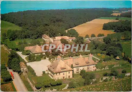 Cartes postales moderne Thonon les Bain (Haute Savoie) Chateau de Ripaille