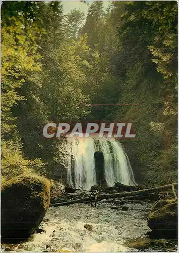 Cartes postales moderne L'Auvergne touristique Cascade de lVerniere entre la Bourboule et le Mont Dore