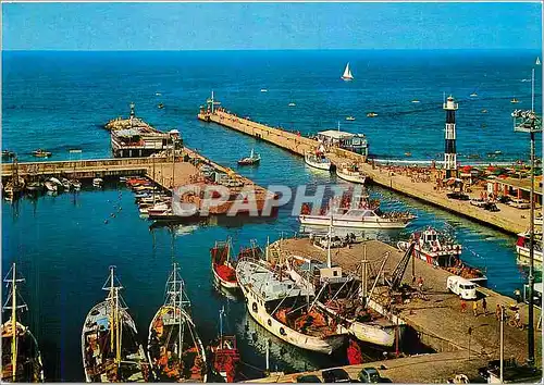 Cartes postales moderne Cattolica Le Port Bateaux de peche