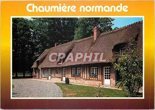 Cartes postales moderne Chaumiere Normande