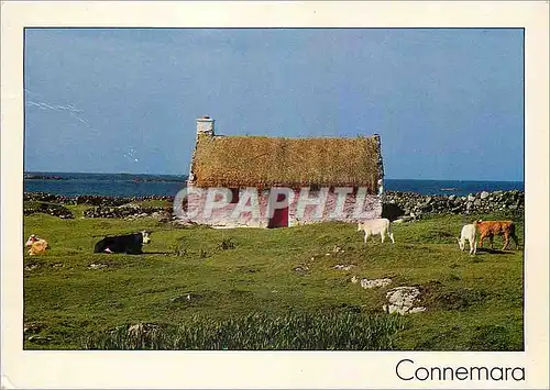 Cartes postales moderne Connemara