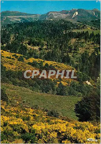 Ansichtskarte AK Super Lioran au Printemps Belle echappee vers le Plomb du Cantal (alt1858m)