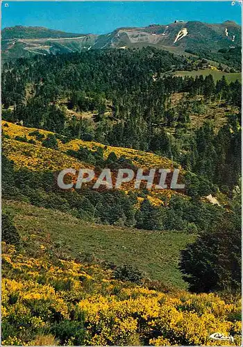Cartes postales Super Lioran au Printemps Belle echappee vers le Plomb du Cantal (alt1858m)