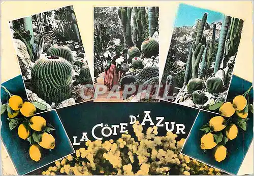 Cartes postales La Cote d'Azur