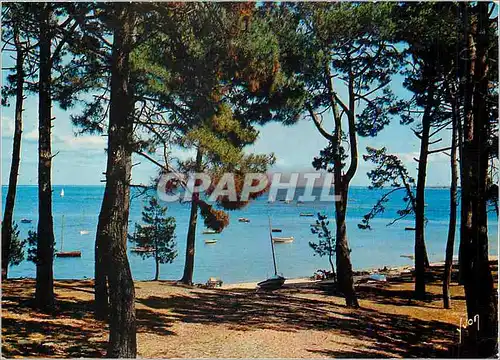 Cartes postales moderne Couleurs et Lumiere de France Le Bassin d'Arcachon les Jacquets (Gironde)