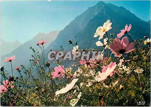 Cartes postales moderne Les Pyrenees l'ete a cauterets le Peguere