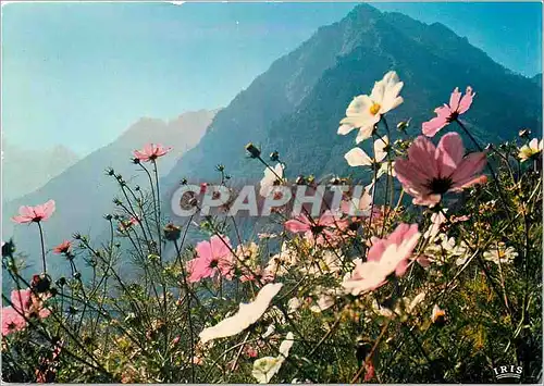 Moderne Karte Les Pyrenees l'ete a cauterets le Peguere