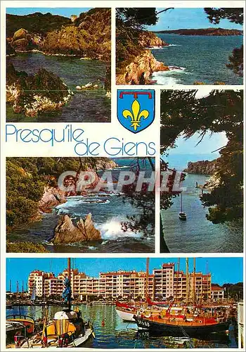 Cartes postales moderne Presqu'ile de Giens (Var)