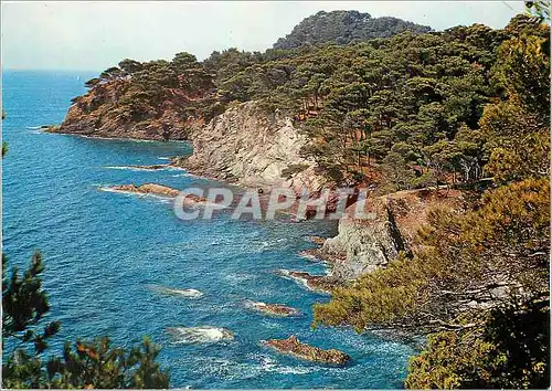 Moderne Karte Cote d'Azur France Presqu'il de Giens (Var) La Cote Sauvage