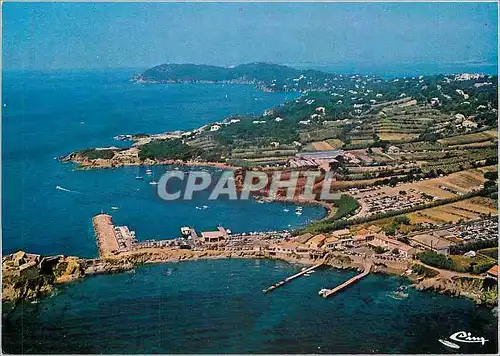 Cartes postales moderne Giens (Var) La Tour Fondue)