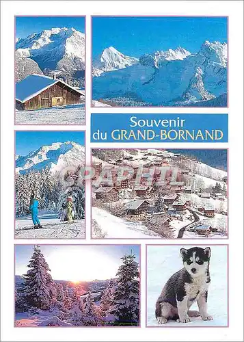 Cartes postales moderne Grand Bornand Bernard Fleurie