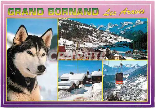 Moderne Karte Grand Bornand (Hte Savoie) alr 950 1300 m