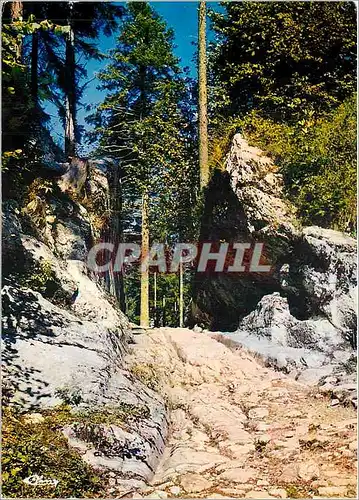 Moderne Karte Les beaux sites du Doubs (Franche Comte) Foret de la Joux sur la route des Sapins la voie romain