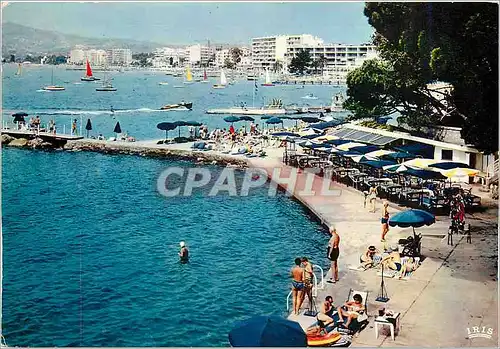 Cartes postales moderne La Cote d'Azur French Riviera Juan les Pins Belles Rives