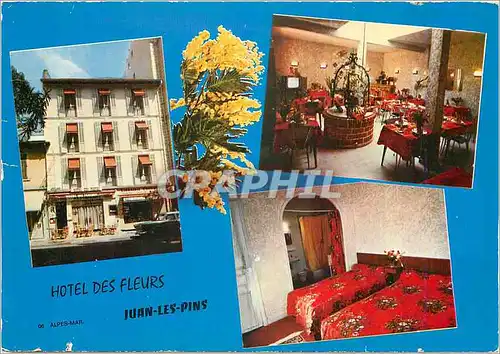 Cartes postales moderne Juan les Pins (Alp Mar) Hotel des Fleurs