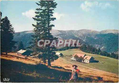 Cartes postales moderne Les Hautes Vosges  le Schnepfenried vus vers le Hohkneck