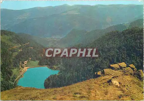 Cartes postales moderne Les Hautes Vosges  le Schnepfenried vus vers le Hohkneck