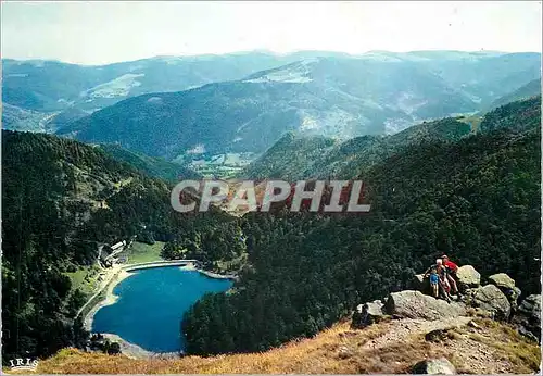 Cartes postales moderne Les Hautes Vosges  le le Schiessrothried Schnepfenried vus vers le Hohkneck