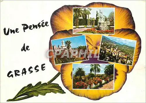 Cartes postales moderne Souvenir de Grasse