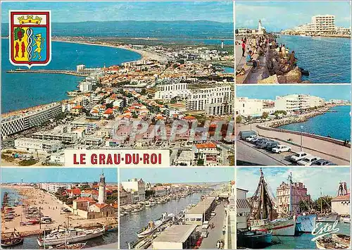 Cartes postales moderne Le Languedoc Souvenir du Gau du Roi (Gard)