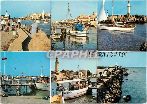 Cartes postales moderne Grau du Roi (Gard) Vues du port de peche sur le Vidourle