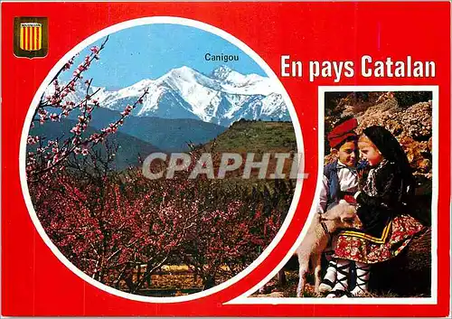 Cartes postales moderne Lumiere et Couleurs du Roussillon en pays Catalan le Canigou alt 2786 m et jeunes berges catalan