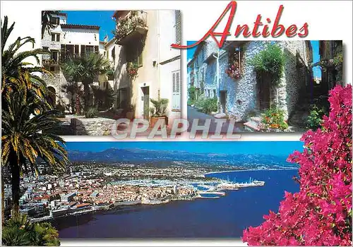 Cartes postales moderne Cote d'Azur Antibes (Alpes Mmes)