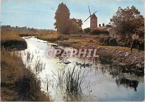 Cartes postales moderne Au Pays de Monts