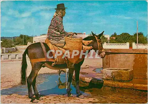 Cartes postales moderne Algarve