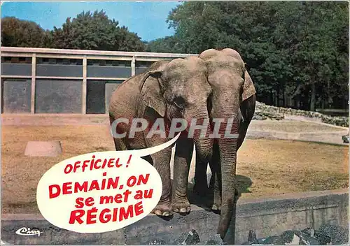 Cartes postales moderne Animaux Humoristiques Tu me Trompe Elephant