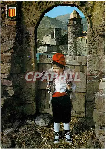 Cartes postales moderne Folklore et Couleurs du Roussillon jeune Berger a Collioure Folklore Agneau