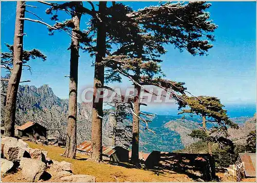 Cartes postales moderne La Corse Oasis de Beaute Col de Bavella (1243 m)site et panorama