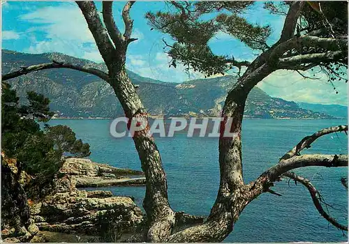 Moderne Karte Cote d'Azur St Jean Cap Ferrat Vue prise de la promenade Maurice Rouvier