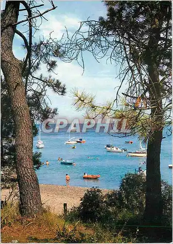 Cartes postales moderne Ile de Re (Ch Mme) Anse de Trousse Chemisse