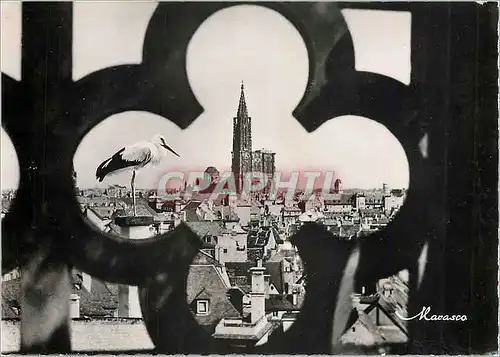 Cartes postales moderne Strasbourg Coup d'Oeil sur la Ville Cigogne