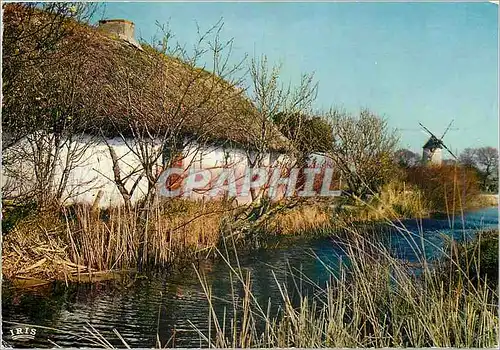 Cartes postales moderne Vendee Pittoresque au pays de Monts une bourrine