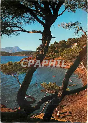Cartes postales moderne La Cote d'Azur Varoise