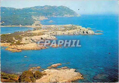 Cartes postales moderne Le Brusc (Var) Ile de Gaou