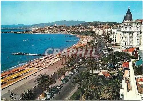 Cartes postales moderne La Cote d'Azur Cannes La Croisette et le Surquet